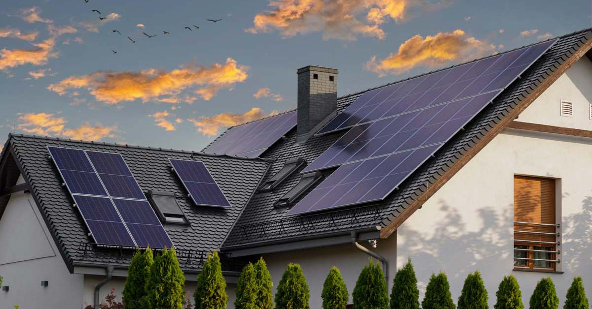 All You Need to Know About Going Solar