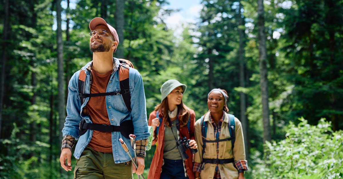 Group of friends hiking in the woods